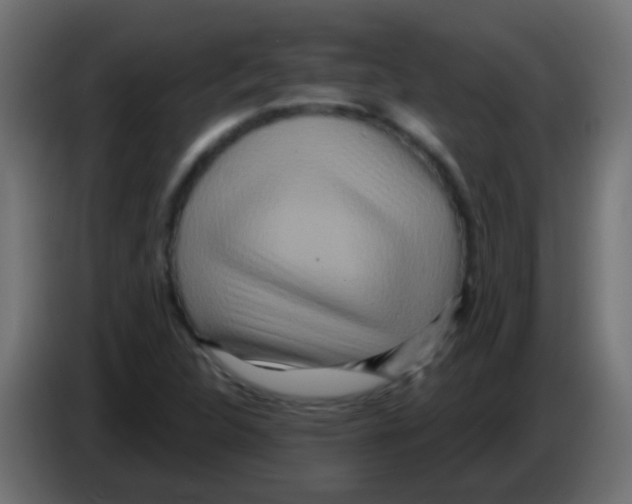 X0000083051312200703022102