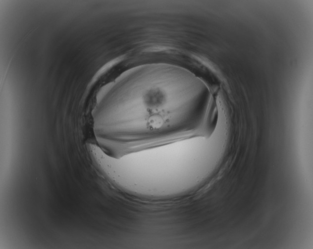 X0000083051314200703022102