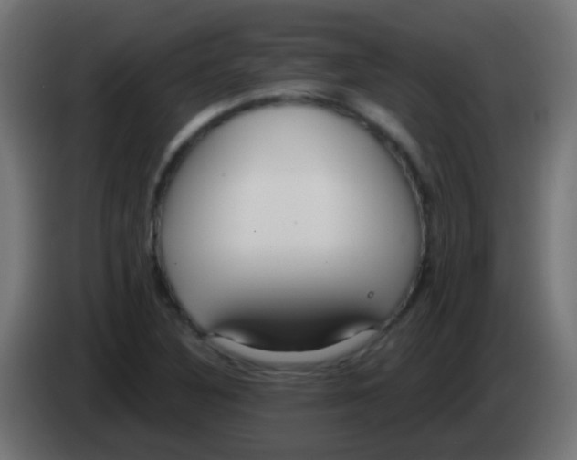 X0000083051316200703022102