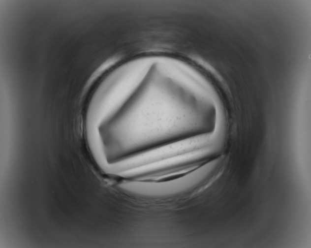 X0000083051317200703022102