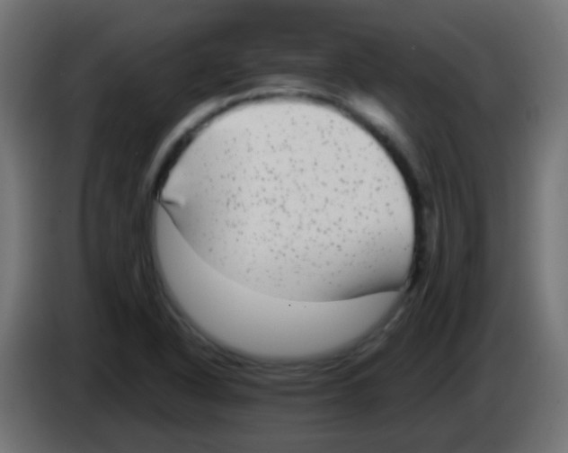 X0000083051318200703022102