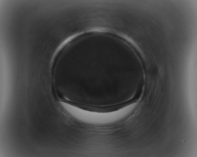 X0000083051319200703022102