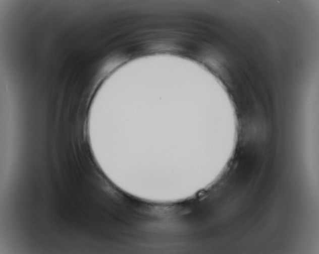 X0000083051322200703022102