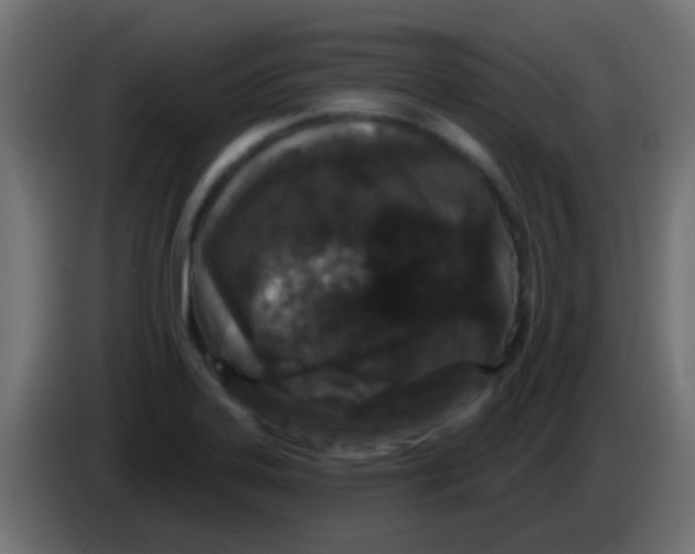 X0000083051323200703022102