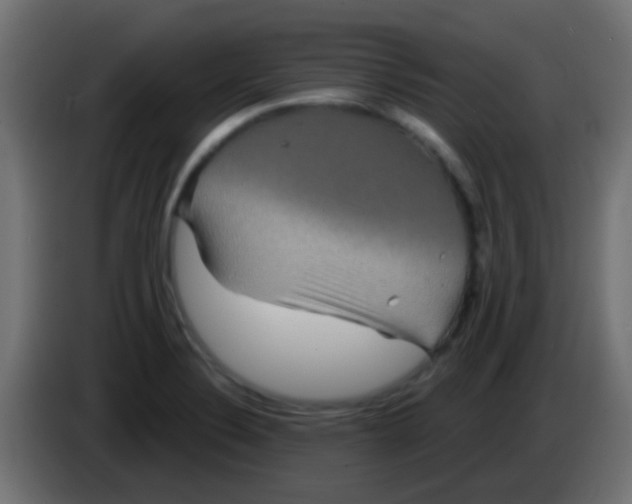 X0000083051324200703022102