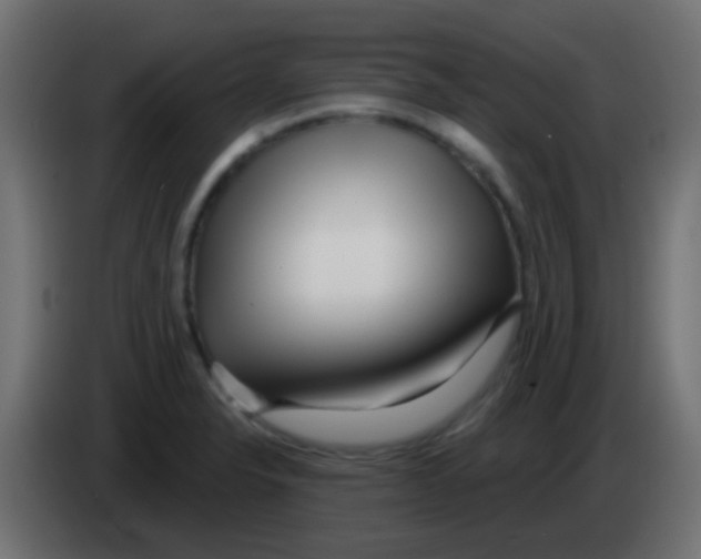 X0000083051326200703022102