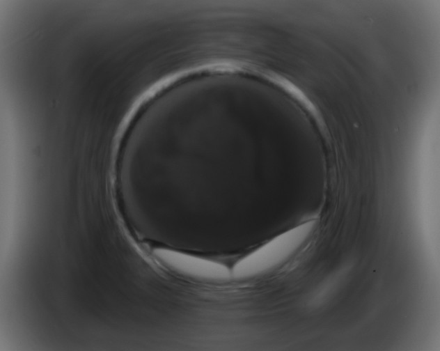 X0000083051327200703022102