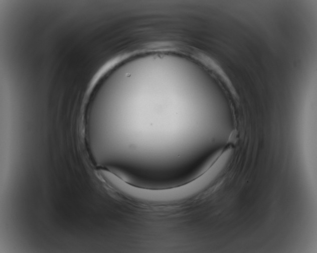 X0000083051328200703022102