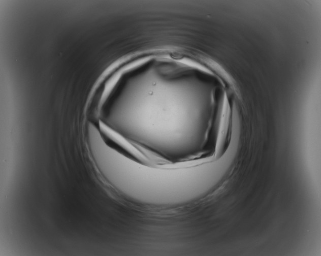 X0000083051332200703022102