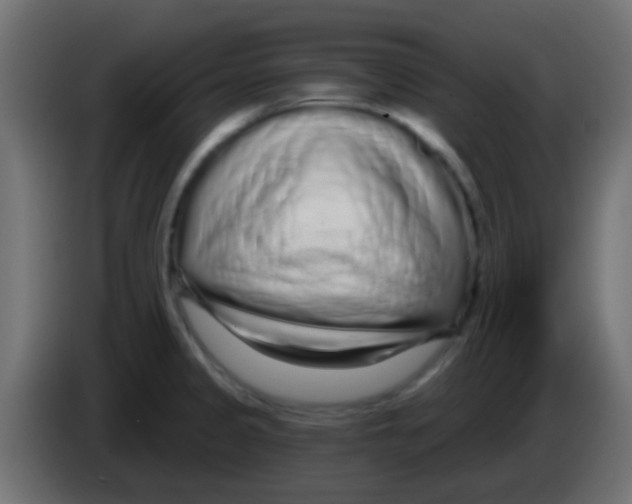 X0000083051333200703022102