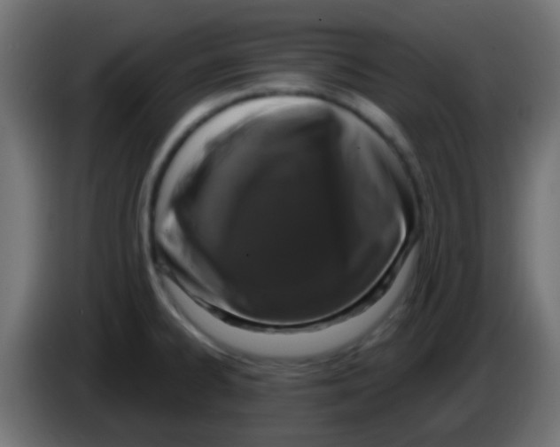 X0000083051334200703022102