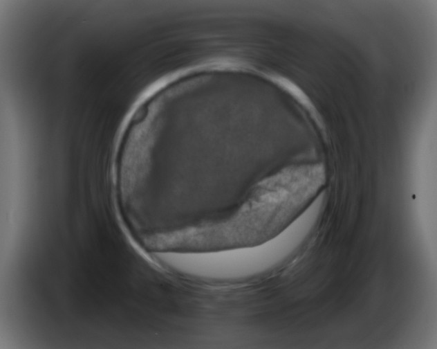 X0000083051335200703022102