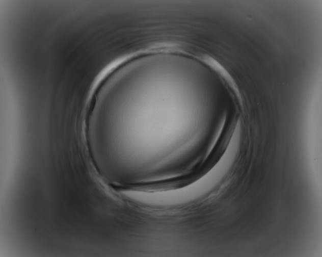 X0000083051336200703022102