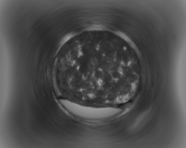 X0000083051337200703022102