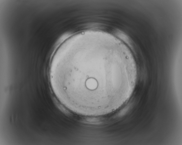 X0000083051338200703022102