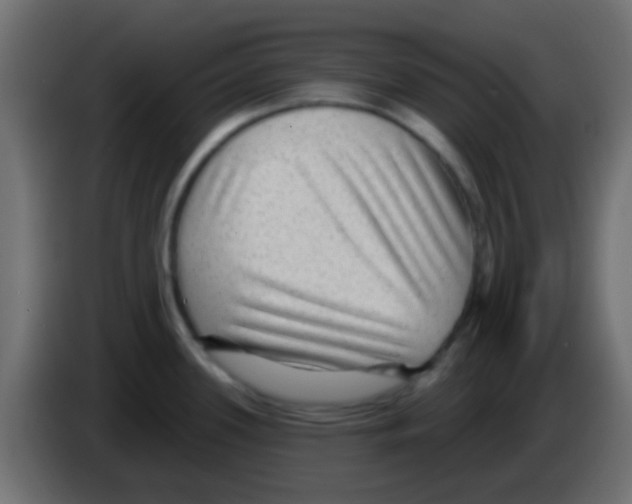 X0000083051339200703022102