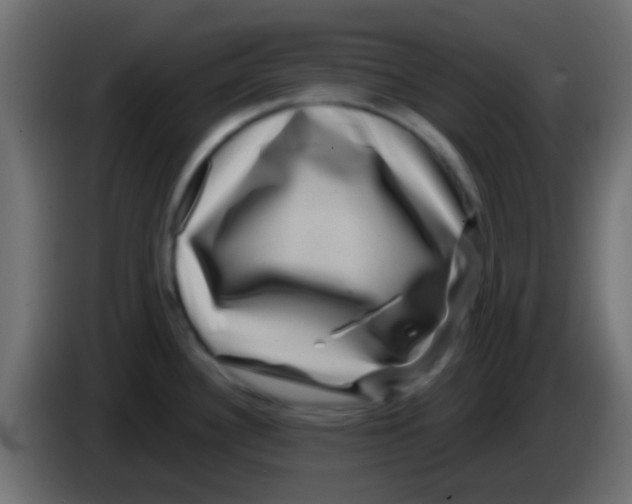 X0000083051340200703022102