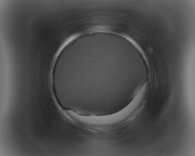 X0000083051341200703022102