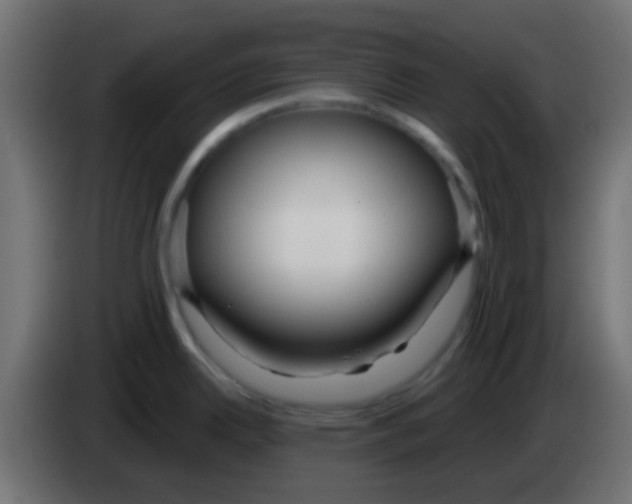 X0000083051342200703022102