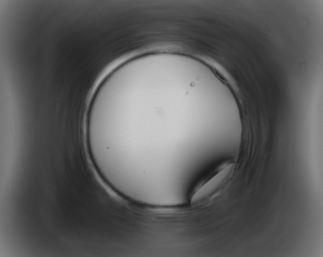 X0000083051343200703022102