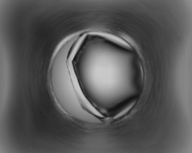 X0000083051344200703022102