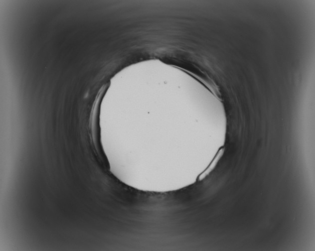 X0000083051345200703022101