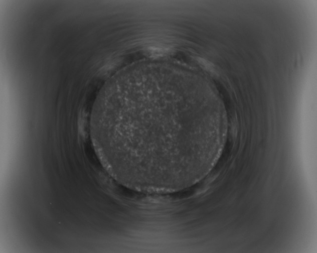 X0000083051346200703022101