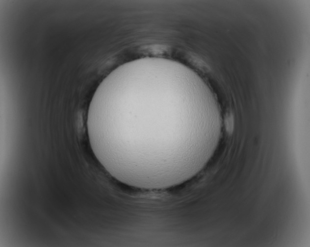 X0000083051347200703022101