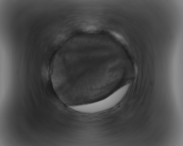 X0000083051348200703022101