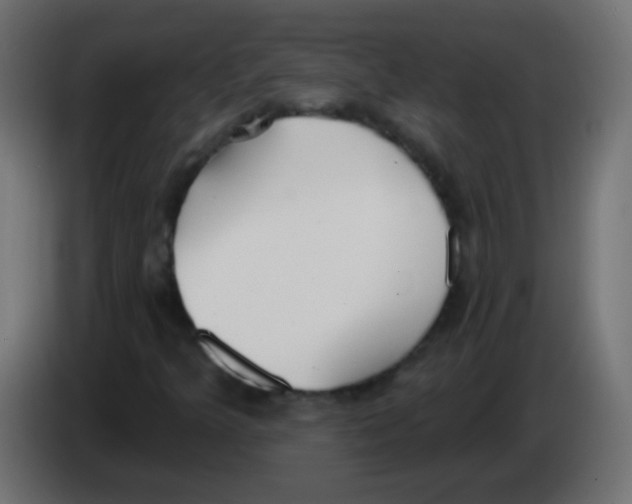 X0000083051349200703022101