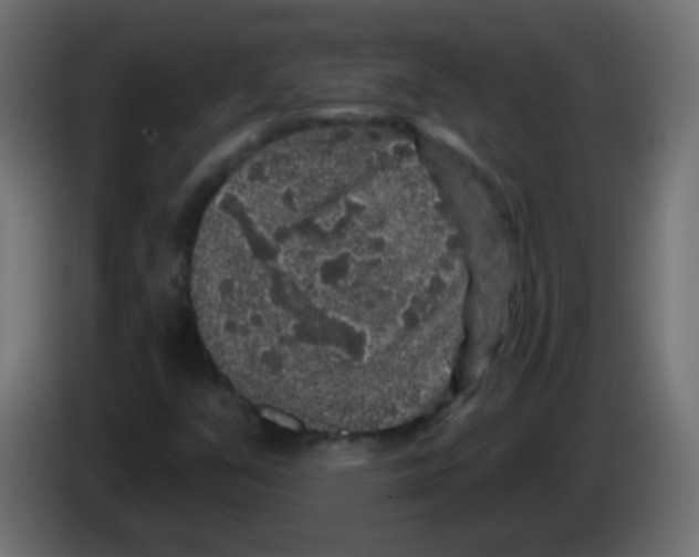 X0000083051351200703022101