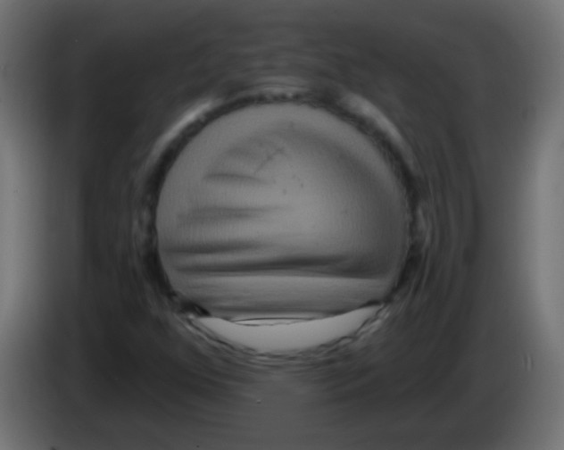 X0000083051352200703022101