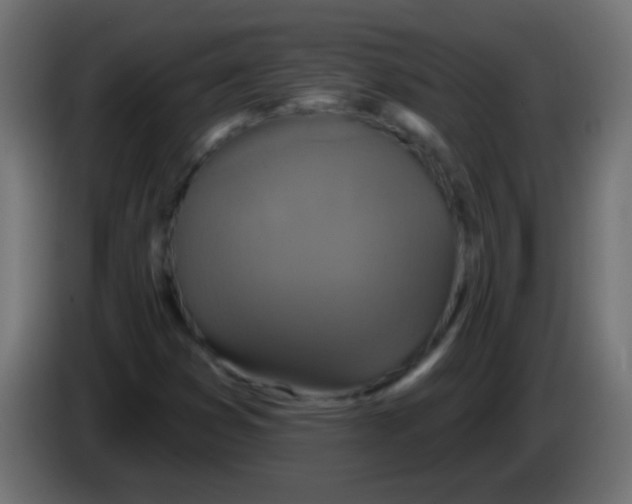 X0000083051353200703022101