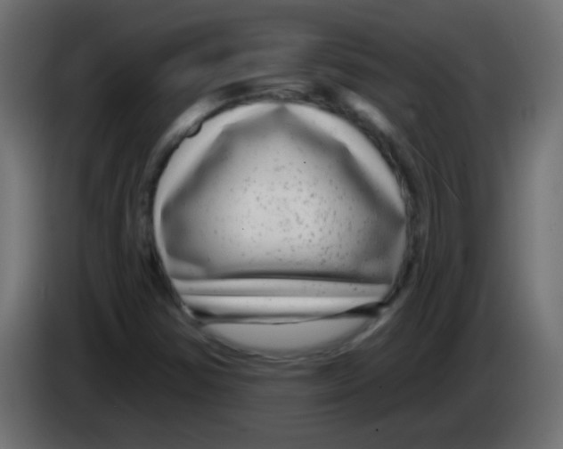 X0000083051354200703022101