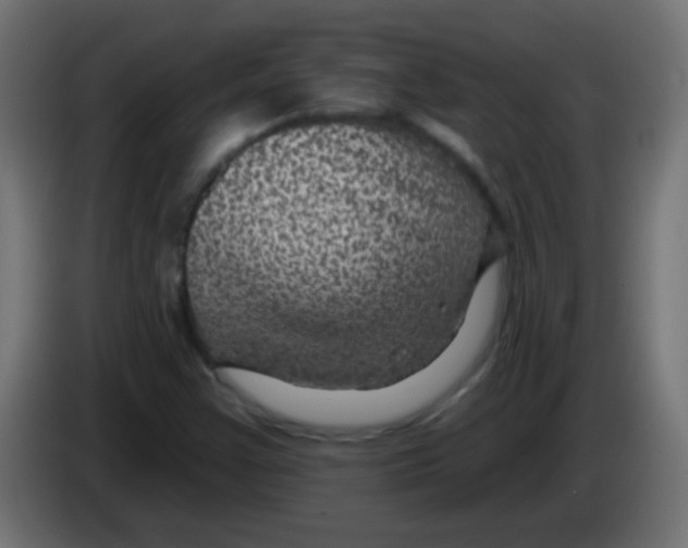 X0000083051355200703022101