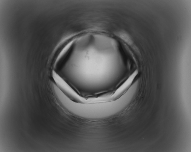 X0000083051356200703022101