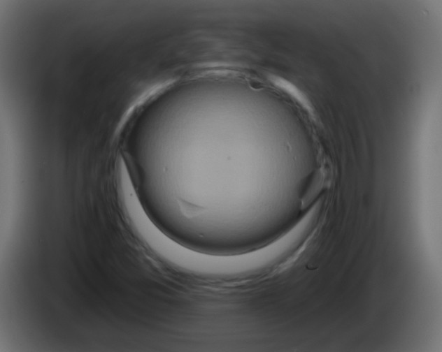 X0000083051357200703022101