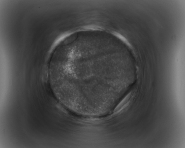 X0000083051358200703022101