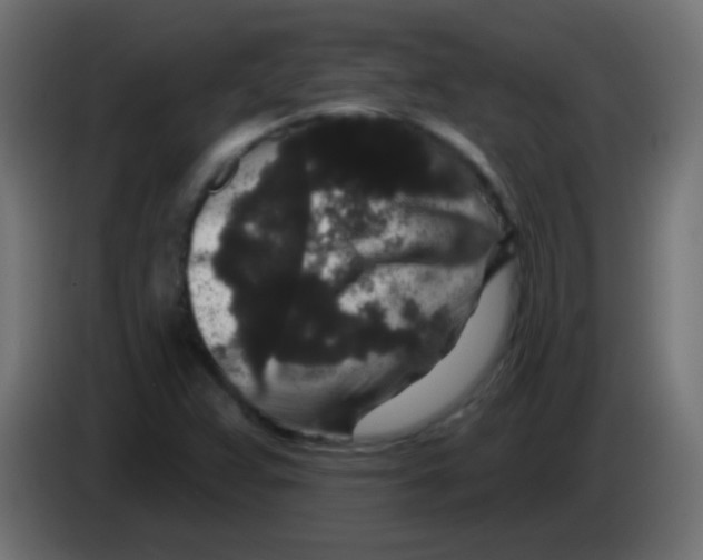 X0000083051359200703022101