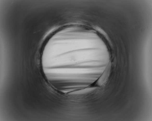 X0000083051360200703022101