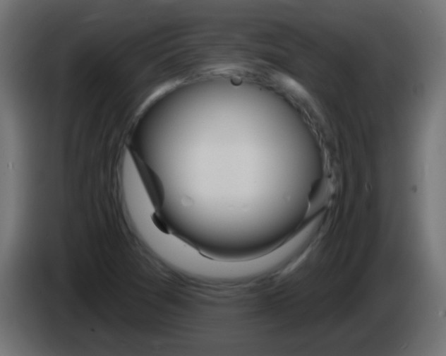 X0000083051361200703022101