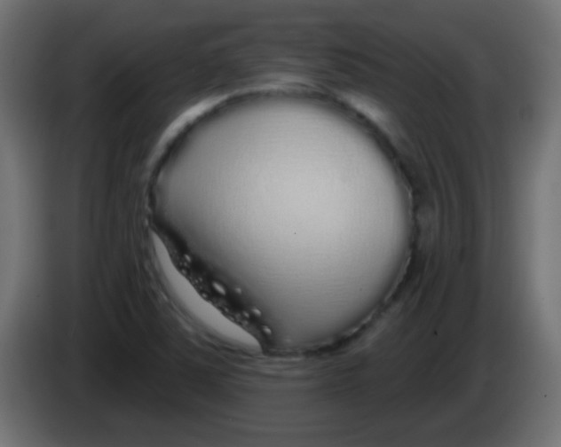 X0000083051363200703022101