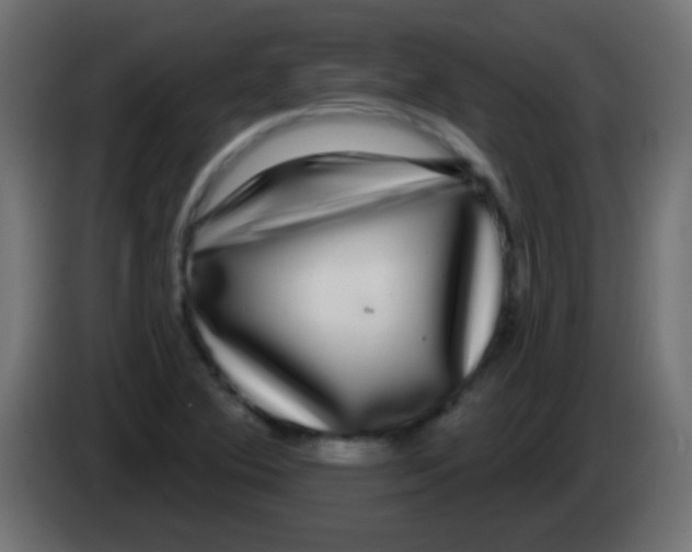 X0000083051364200703022101