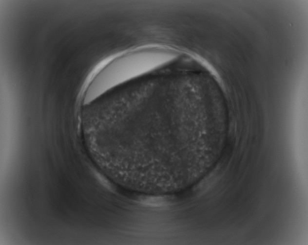 X0000083051367200703022101