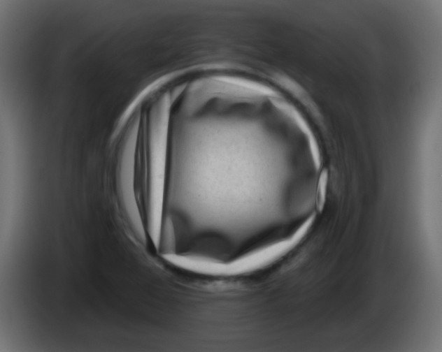 X0000083051368200703022101