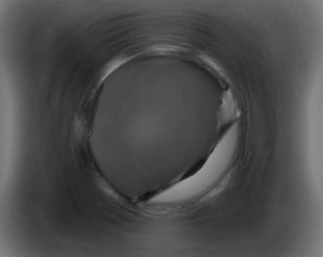 X0000083051369200703022101