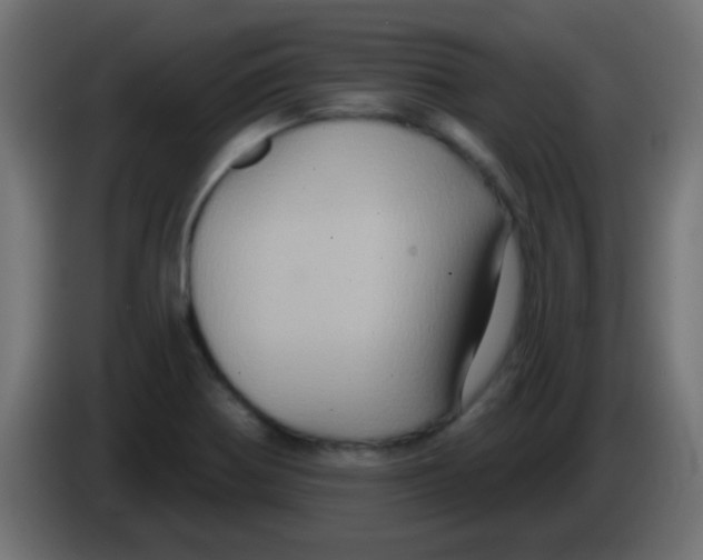 X0000083051370200703022101