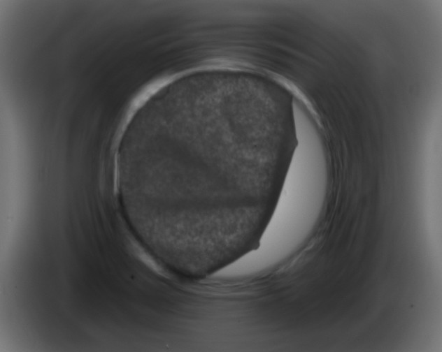 X0000083051371200703022101