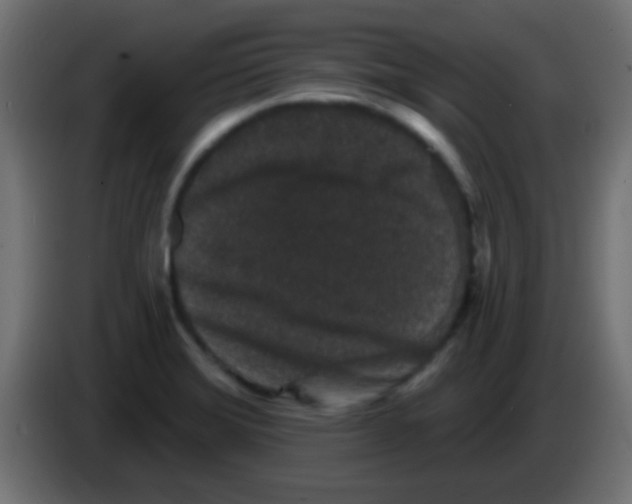 X0000083051372200703022101