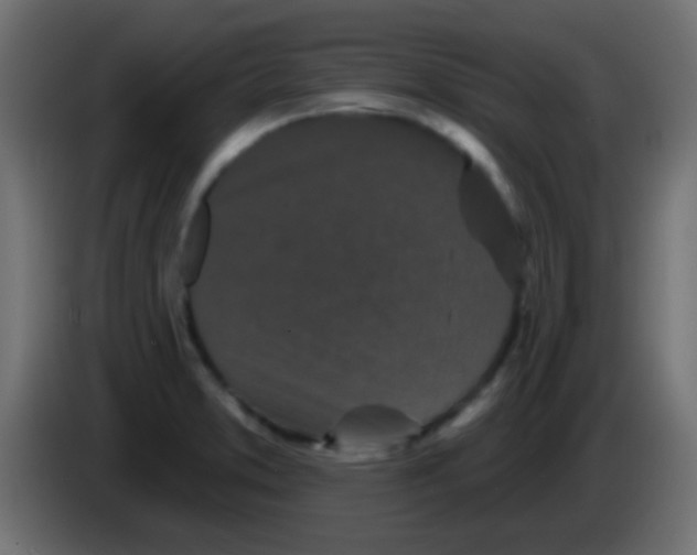 X0000083051373200703022101